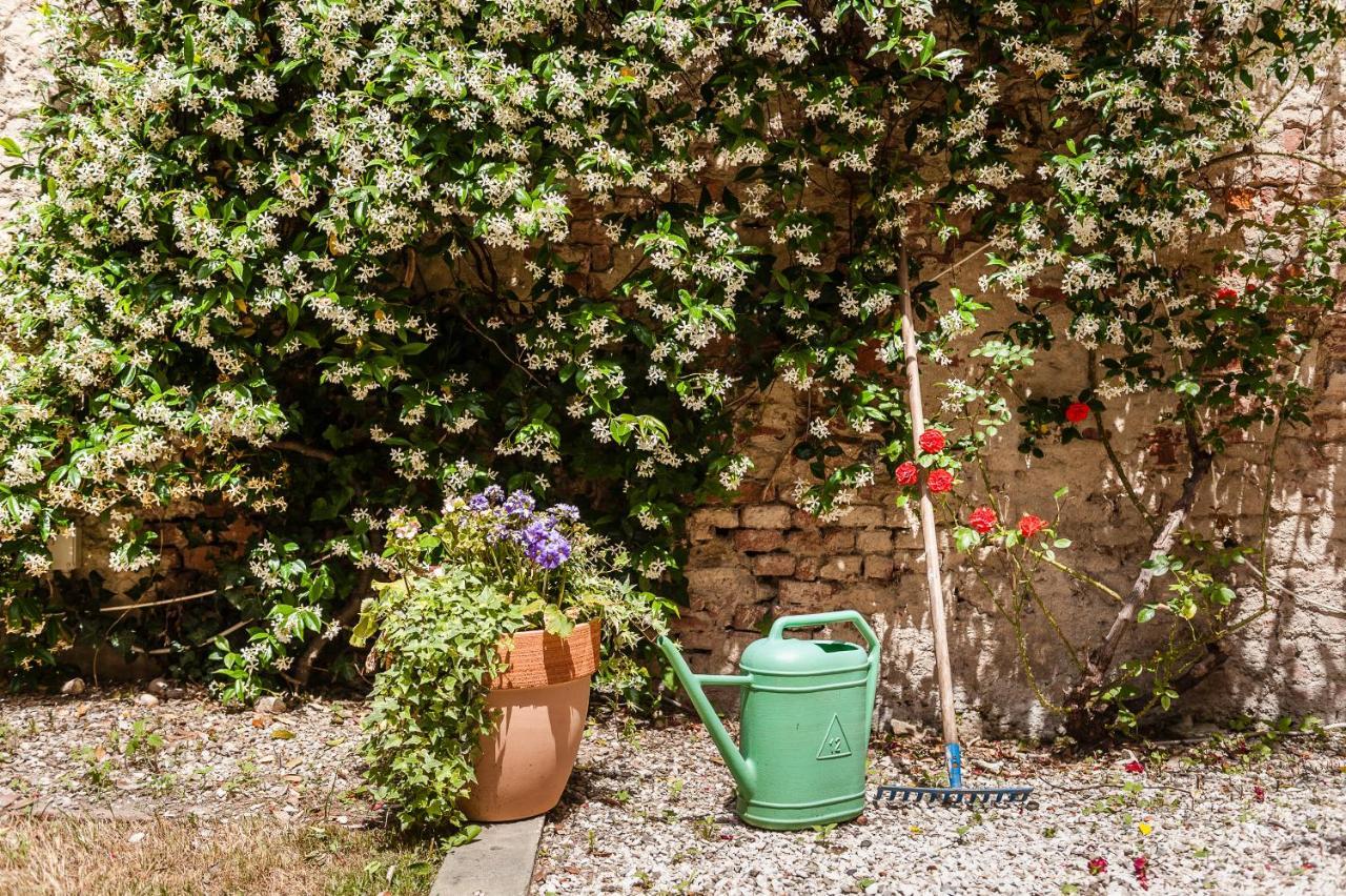 Apartamento Hostly - Garden House Near The Tower - Historical House With Private Garden Pisa Exterior foto